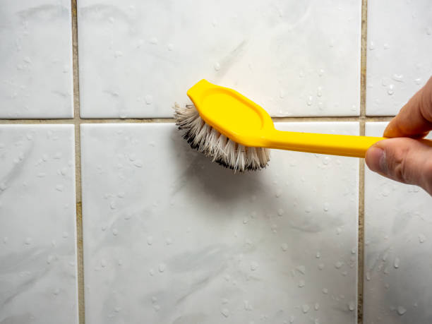 Best Residential Mold Remediation in Green Park, MO